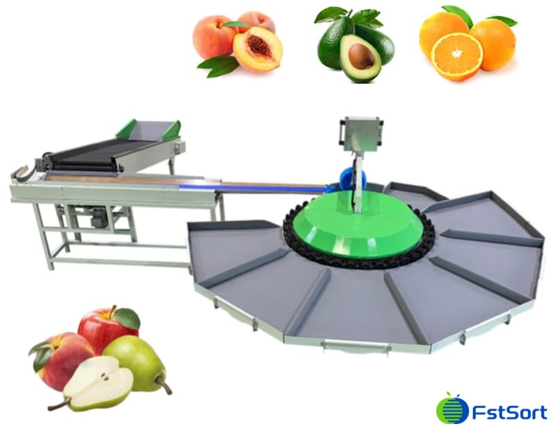 images/1673857632231peach sorting machine.jpg